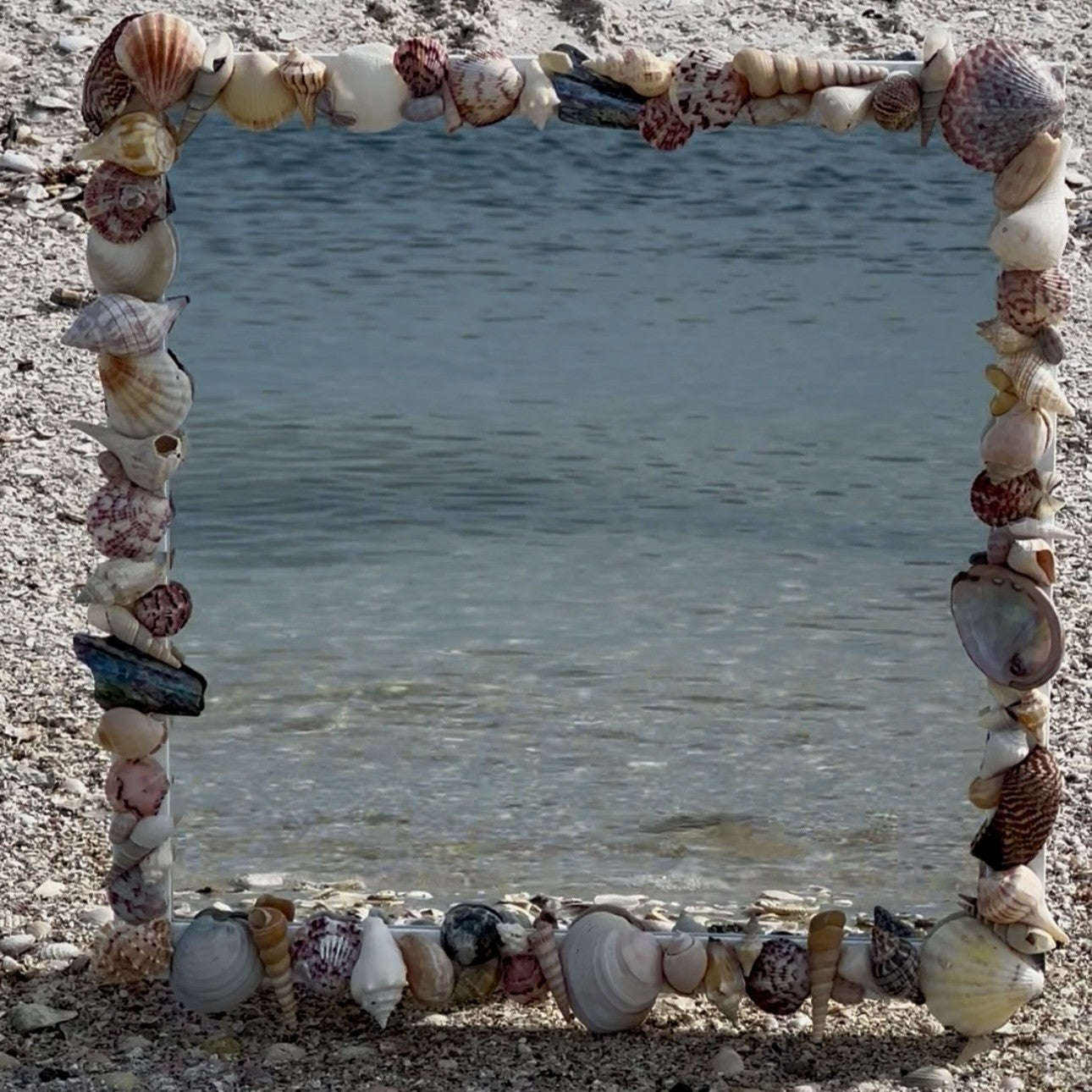 Mirror with Seashell border