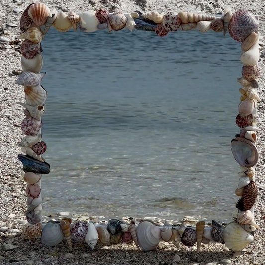 Mirror with Seashell border