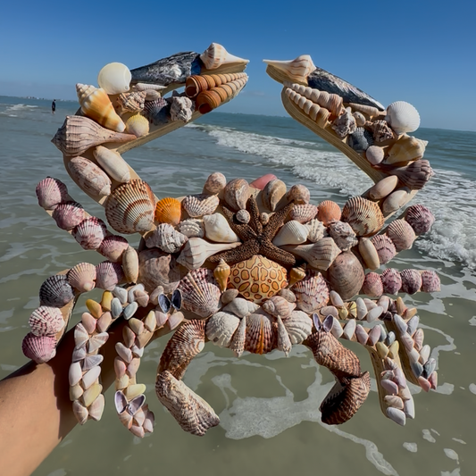 Crab