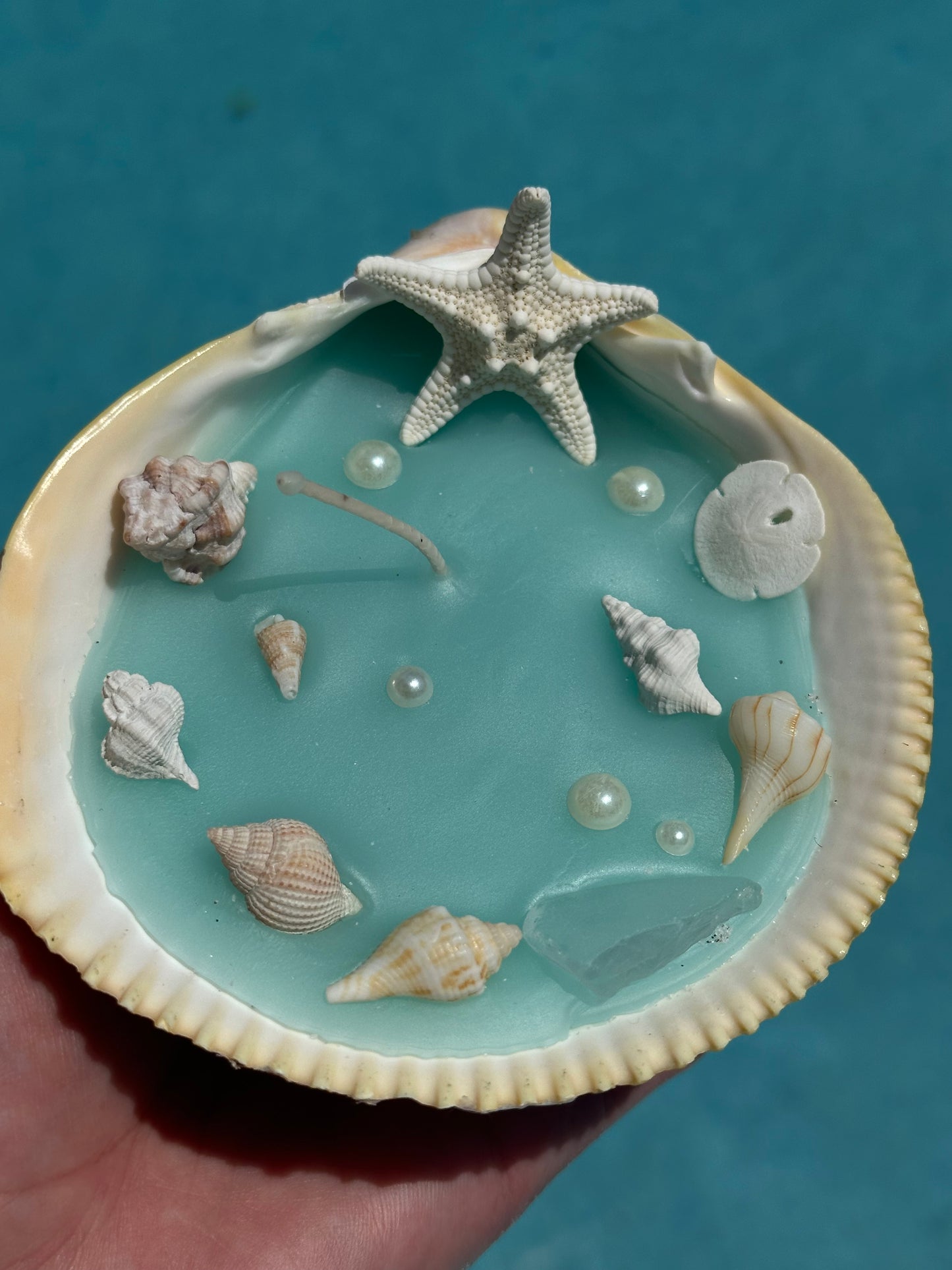 Decorative Shell Candle