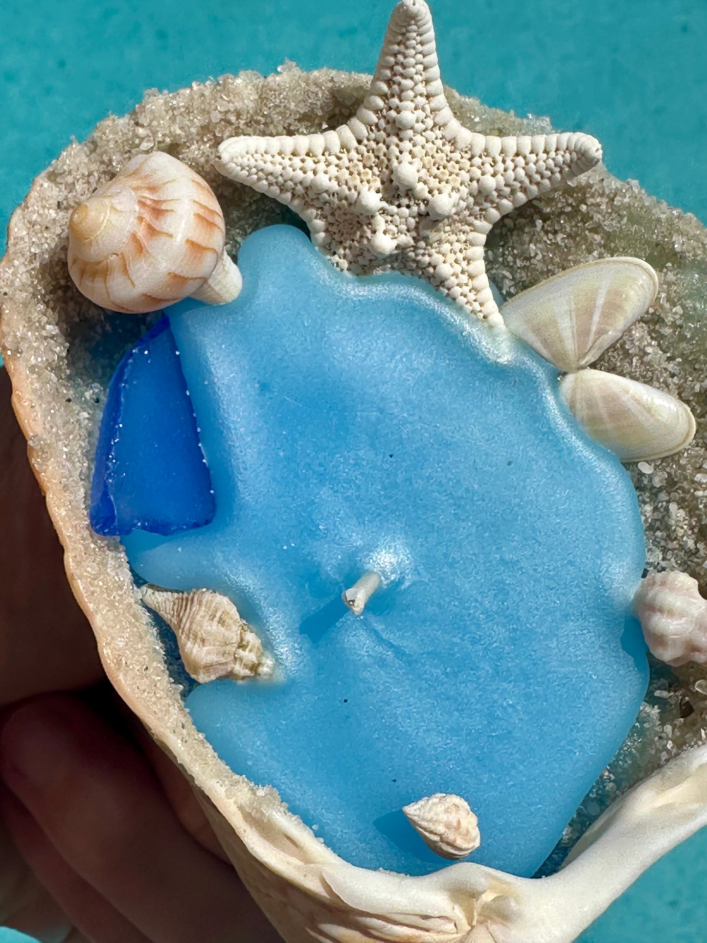 Decorative Shell Candle