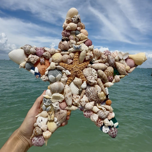 Star Fish