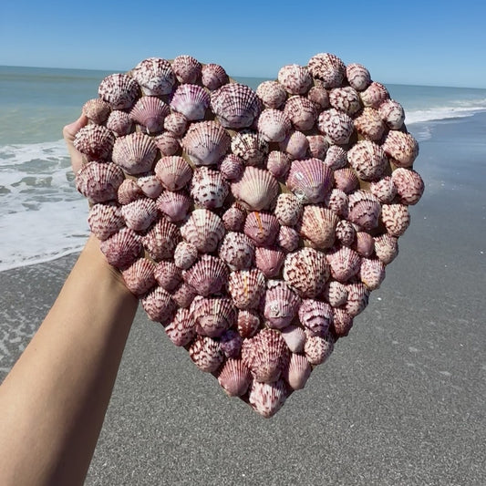 Seashell Heart