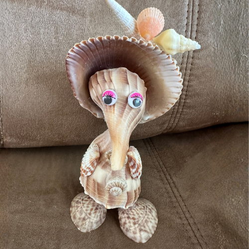 Seashell Tideside Traveler
