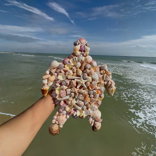 Sea turtle made from seashells
